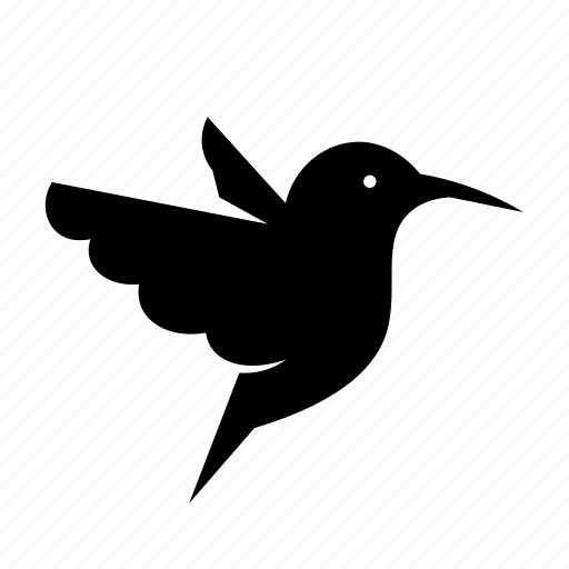 hummingbird